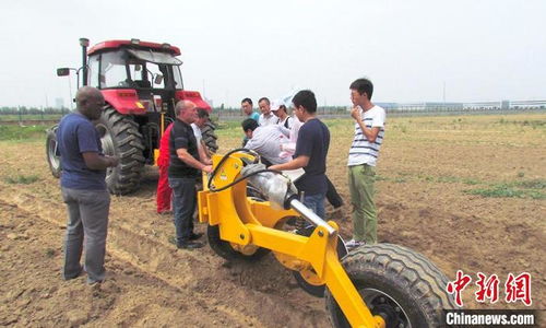 农机大省山东 智造 畅销海外 激发农业 芯 动能